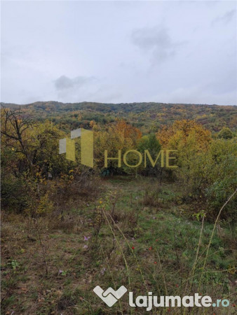 Sau Schimb teren central Drajna 5000 mp 