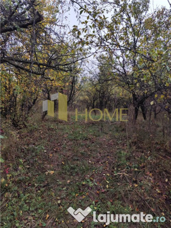 Sau Schimb teren central Drajna 5000 mp 