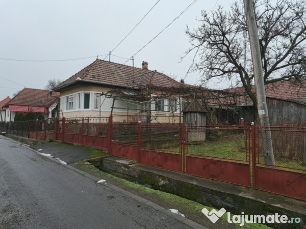 Casa in Ibanesti zona centrala 