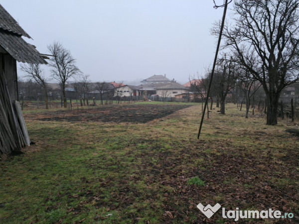 Casa in Ibanesti zona centrala 