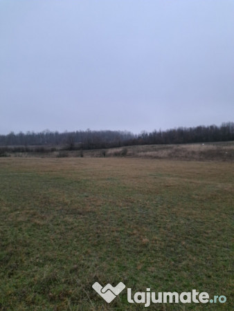 Teren extravilan comuna Crasna-Gorj 10912mp 