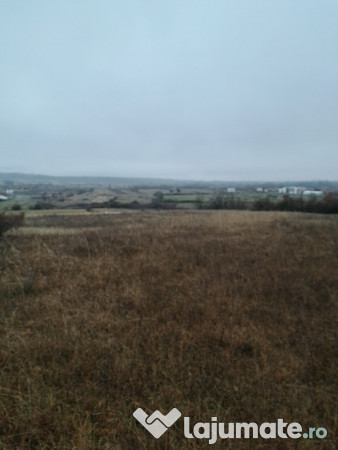 Teren extravilan comuna Crasna-Gorj 10912mp 