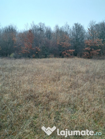 Teren extravilan comuna Crasna-Gorj 10912mp 