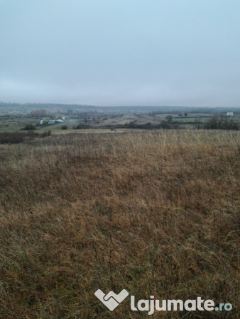 Teren extravilan comuna Crasna-Gorj 10912mp 