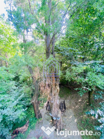 Teren central de vânzare 