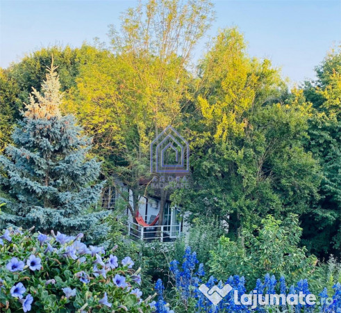 Teren central de vânzare 