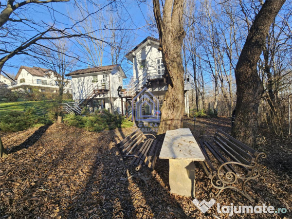 Teren central de vânzare 