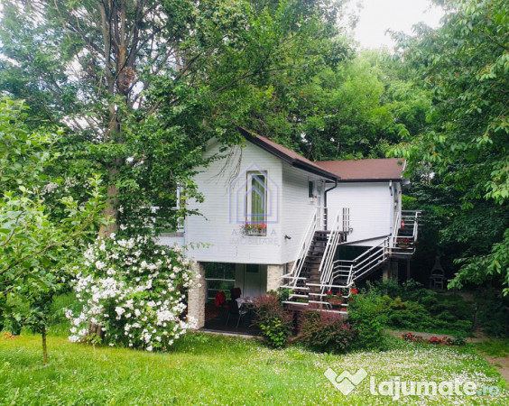 Teren central de vânzare 