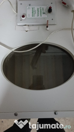 Clocitoare ouă Stankovic 