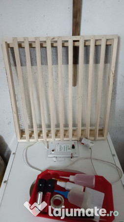 Clocitoare ouă Stankovic 