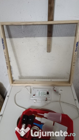 Clocitoare ouă Stankovic 