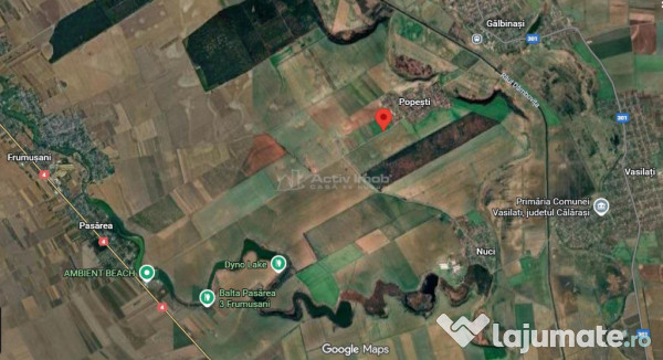 Lot intravilan 668 mp, Popesti Vasilati, la asfalt