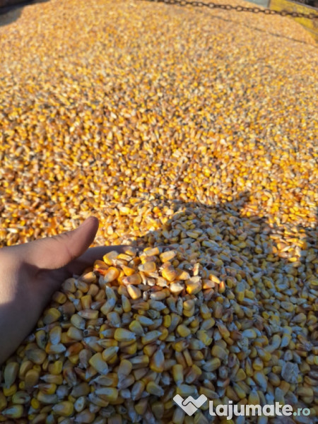 Graunte hibrid pentru animale 