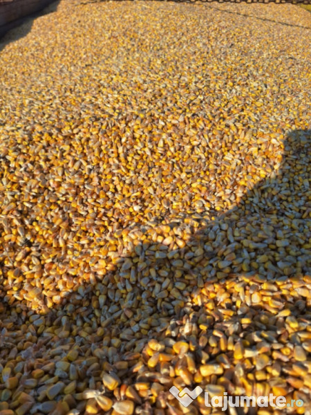 Graunte hibrid pentru animale 