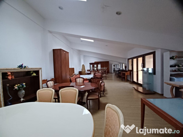 Hala 1500 mp - Otopeni / Therme 