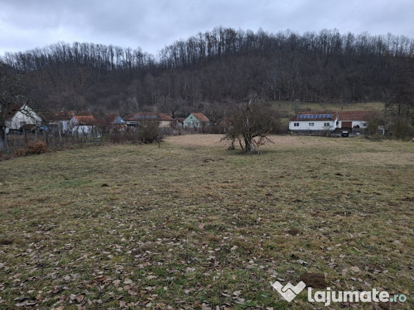 Teren intravilan 3140mp