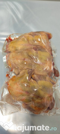 Porumbei pentru carne 