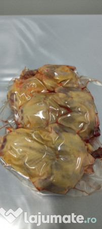 Porumbei pentru carne 