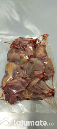 Porumbei pentru carne 