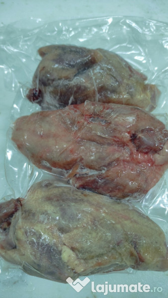 Porumbei pentru carne 