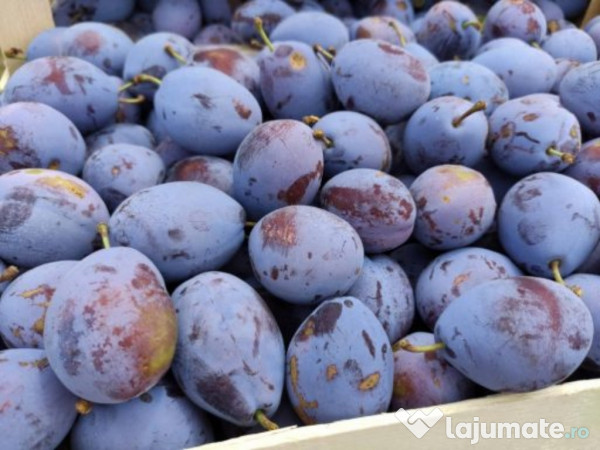 Tuica Palinca din prune 100% natural bio din livezile proprii 
