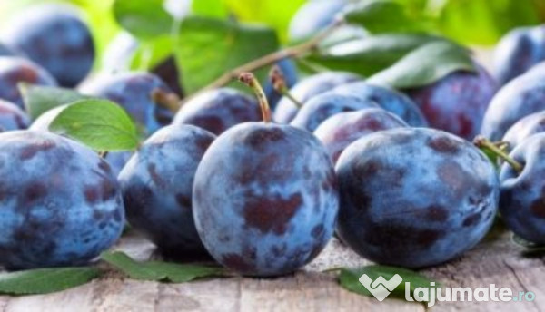Tuica Palinca din prune 100% natural bio din livezile proprii 