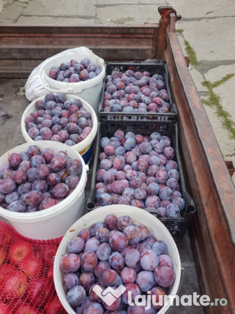 Tuica Palinca din prune 100% natural bio din livezile proprii 