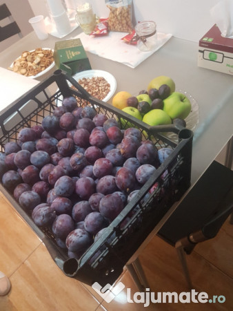 Tuica Palinca din prune 100% natural bio din livezile proprii 