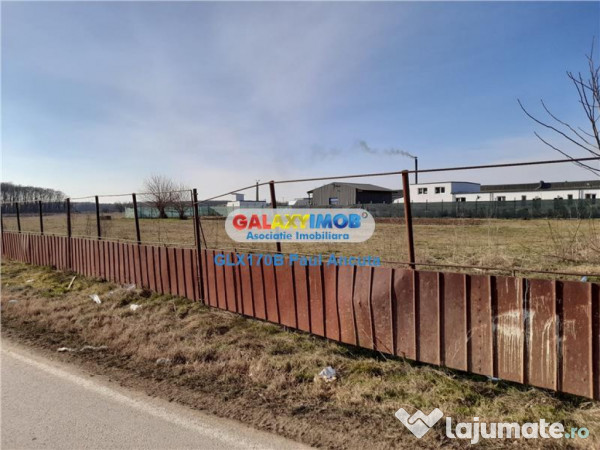 Teren Dascalu la sosea 10000 mp industrial depozitare 