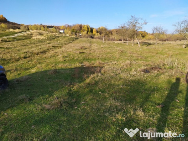 Proprietar Teren intravilan Campina 2490mp - PH (negociabil) 