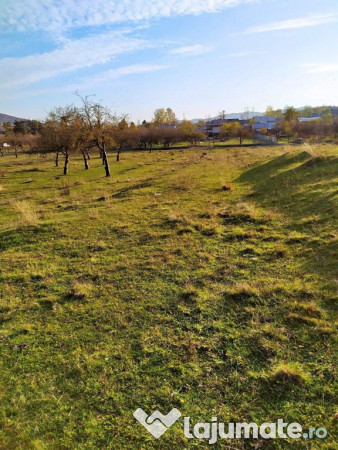 Proprietar Teren intravilan Campina 2490mp - PH (negociabil) 