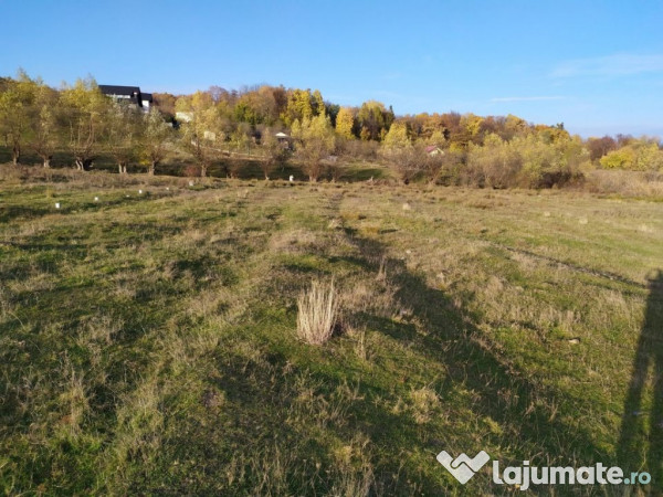 Proprietar Teren intravilan Campina 2490mp - PH (negociabil) 