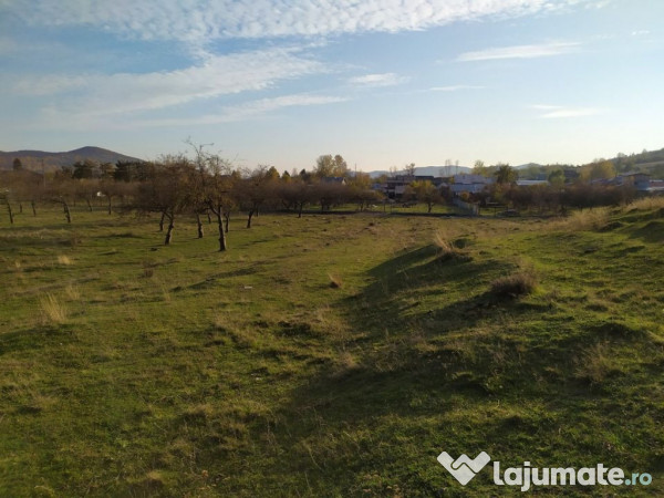 Proprietar Teren intravilan Campina 2490mp - PH (negociabil) 