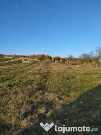 Proprietar Teren intravilan Campina 2490mp - PH (negociabil) 