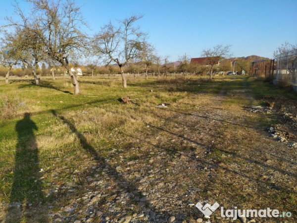 Proprietar Teren intravilan Campina 2490mp - PH (negociabil) 