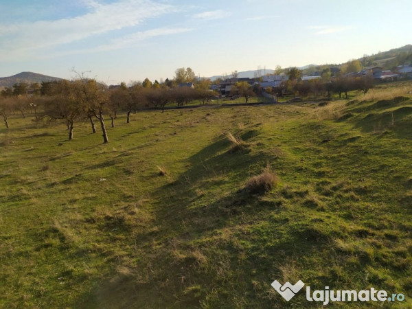 Proprietar Teren intravilan Campina 2490mp - PH (negociabil) 