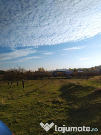 Proprietar Teren intravilan Campina 2490mp - PH (negociabil) 