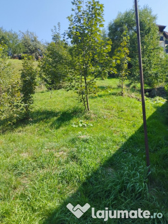 Vila Moieciu între munții Bucegi și Piatra Craiului - De v. sau schimb