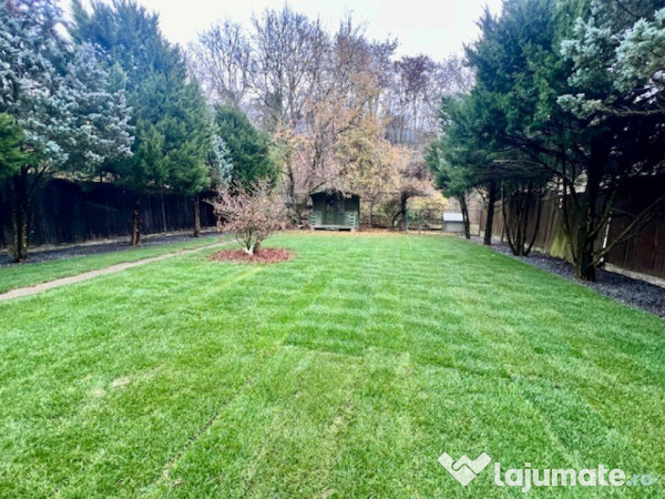 A/1607 Casă singur în curte în Tg Mureș - 7 Noiembrie 