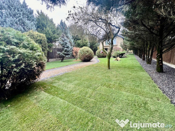 A/1607 Casă singur în curte în Tg Mureș - 7 Noiembrie 