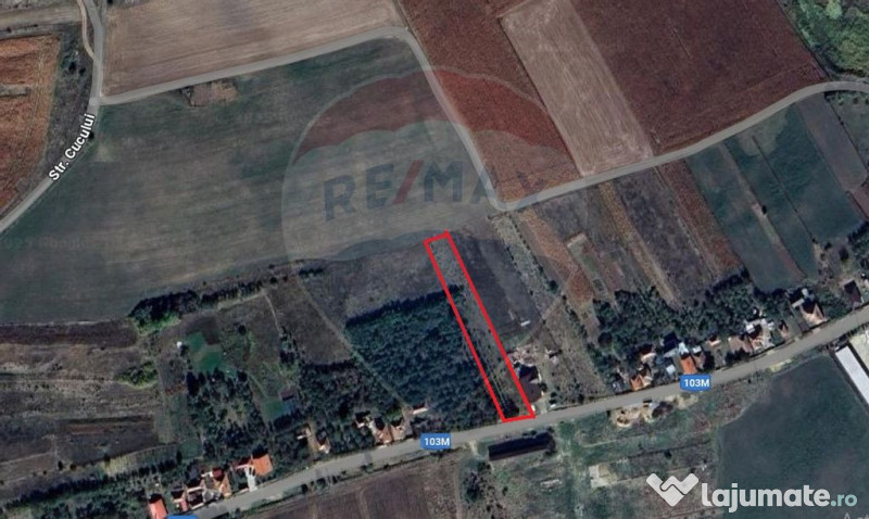 Teren de vanzare in Rediu! 2600 MP! Exclusivitate 