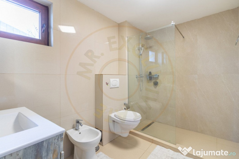 Casa 5 camere Domnesti-Teghes 