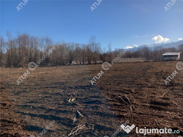 Teren intravilan de 900 mp in Avrig zona Valea Avrigului 