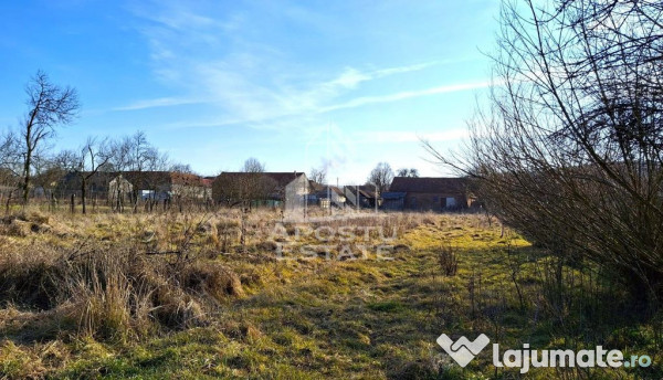 Casa de caramida in Tela si Teren Generos de 4320 mp 