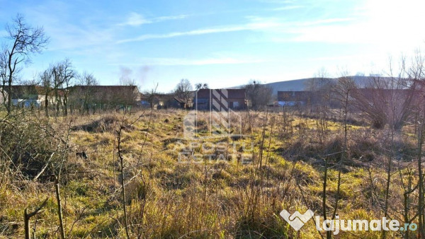 Casa de caramida in Tela si Teren Generos de 4320 mp 