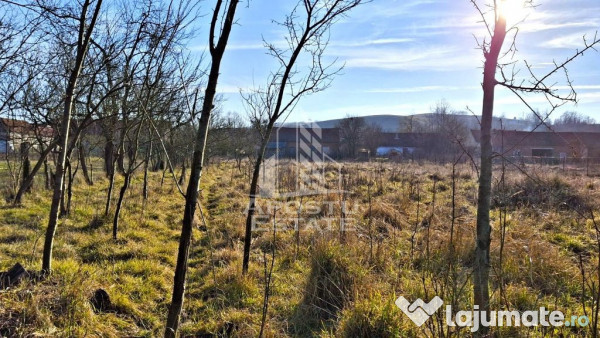 Casa de caramida in Tela si Teren Generos de 4320 mp 