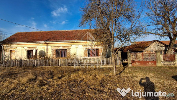Casa de caramida in Tela si Teren Generos de 4320 mp 