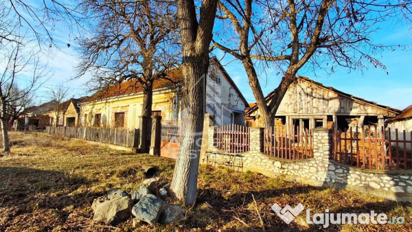 Casa de caramida in Tela si Teren Generos de 4320 mp 