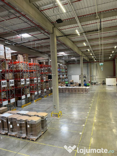 Spațiu cu rafturi pentru Logistică/Depozitare