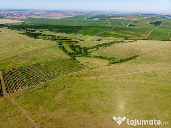 Teren arabil de 349 hectare în Buzău 